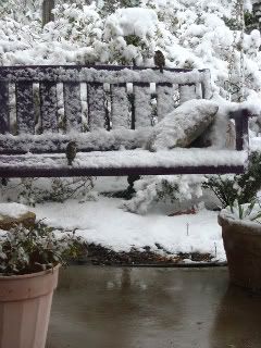 Birds on porch swing