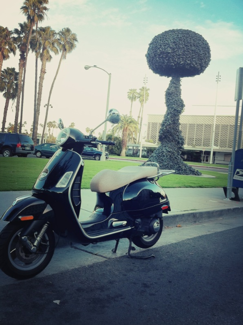 External inline image provided by member with no explanatory text