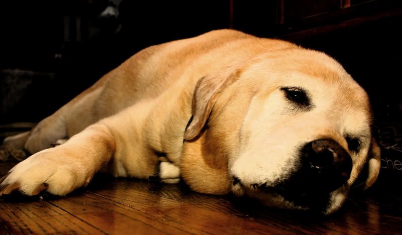 IMAGE: http://i50.photobucket.com/albums/f350/nekwat/IMG_0683g.jpg