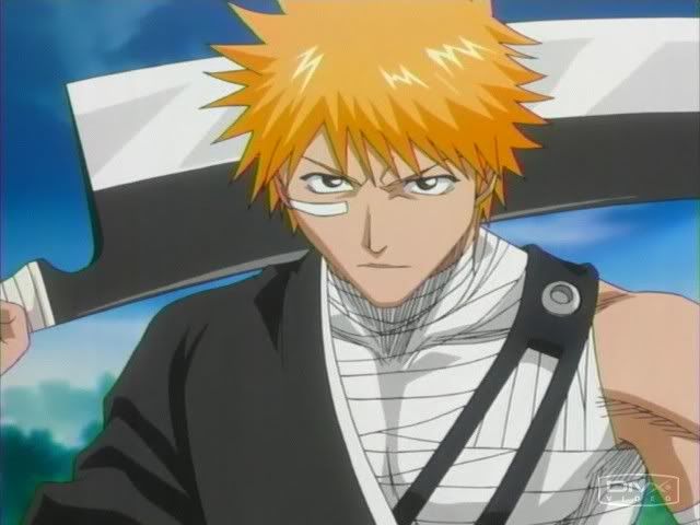 [PokeCommunity.com] The BLEACH fanclub