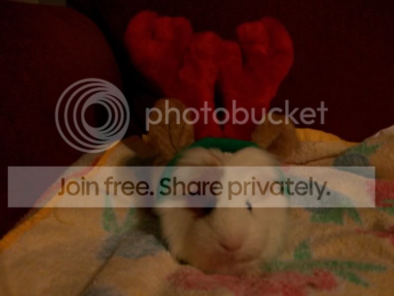 100_3776.jpg
