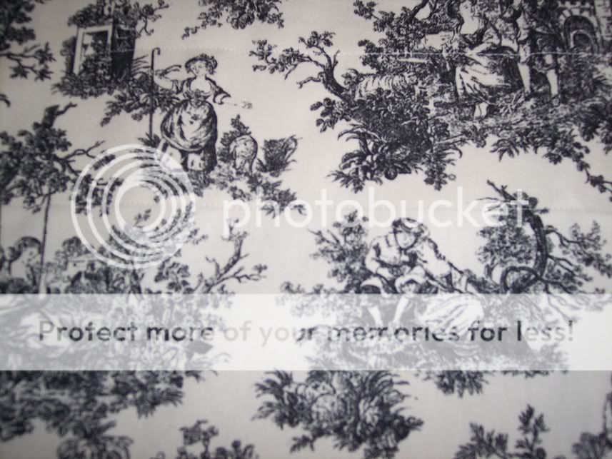   Waverly Sweet Pastimes~Scalloped~TOILE/TICKING VALANCE CURTAINS  