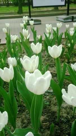 photo DSC_1612_zpspnglpotd.jpg
