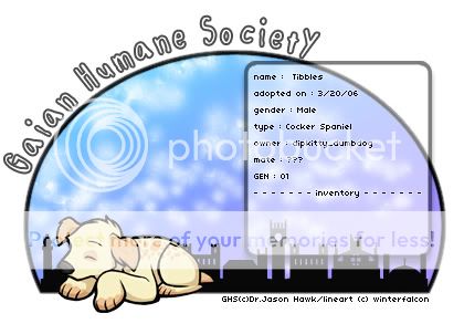 User Image