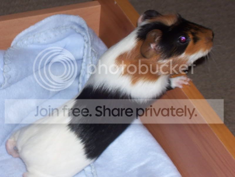 100_2575.jpg