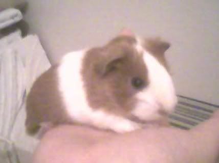 Binky.jpg