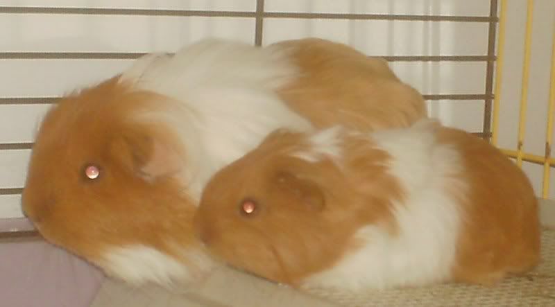 PICT0028.jpg