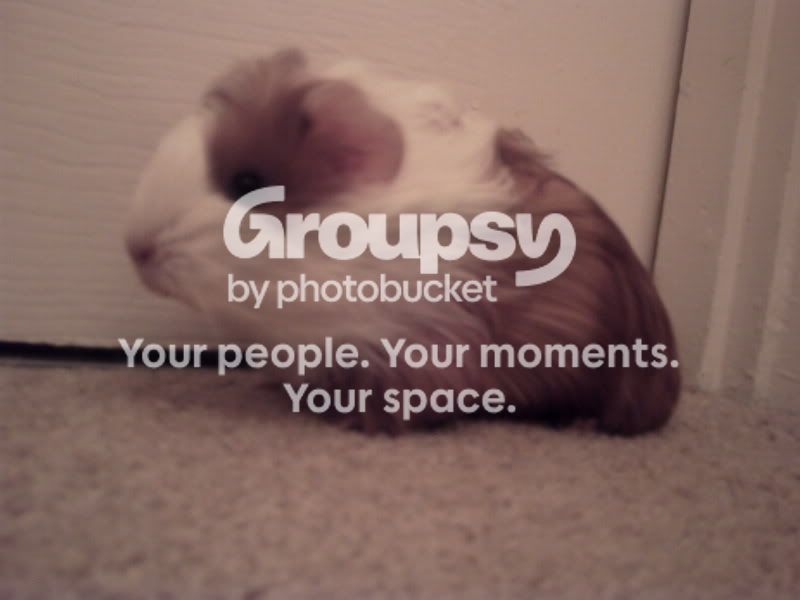 PICT0223.jpg