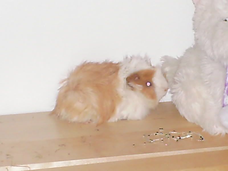 PICT0314.jpg