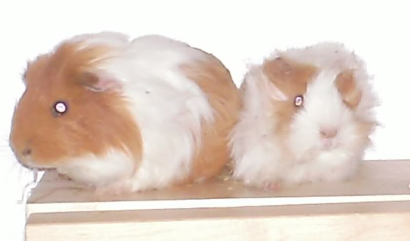 PICT0318.jpg
