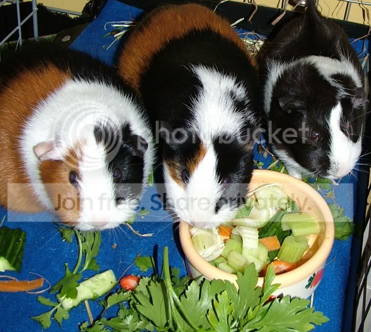 breakfast2.jpg