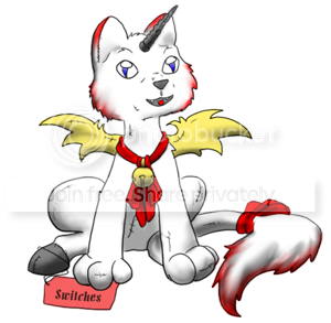 User Image