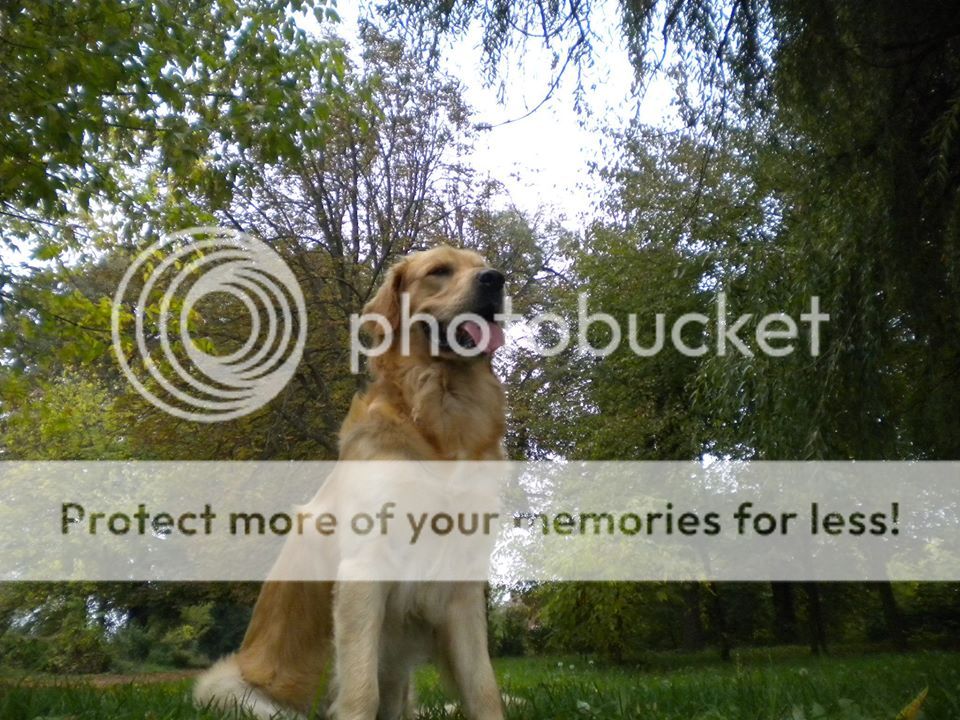 Photobucket - Video and Image Hosting